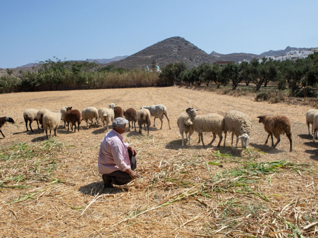 Σκάνδαλο ΟΠΕΚΕΠΕ: Για εγκληματική οργάνωση κάνει λόγο η Ευρωπαϊκή Εισαγγελία - Πώς δρούσε