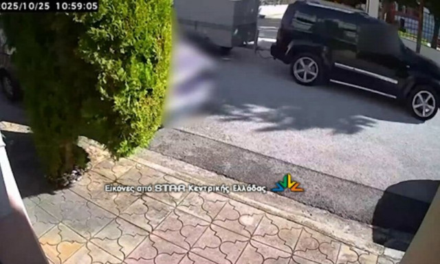 Λαμία: Γυναίκα και κοριτσάκι έκλεψαν... πόνυ στη μέση του δρόμου