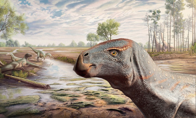 Σημαντική ανακάλυψη: Νέο είδος δεινοσαύρου με θολωτή κεφαλή βρέθηκε στη Μοντάνα