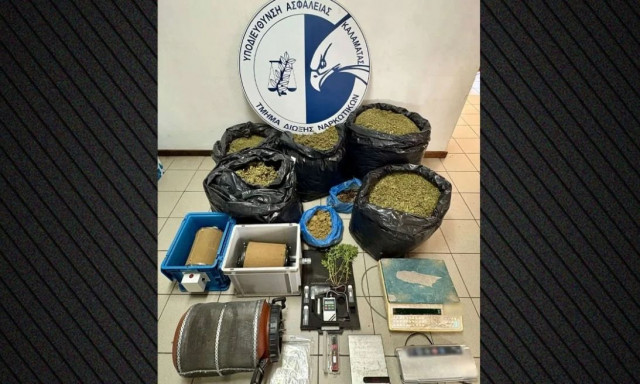 Μεσσηνία: Σύλληψη για παραβίαση της άδειας για βιομηχανική κάνναβη – Θα έβγαζε 75.000 ευρώ