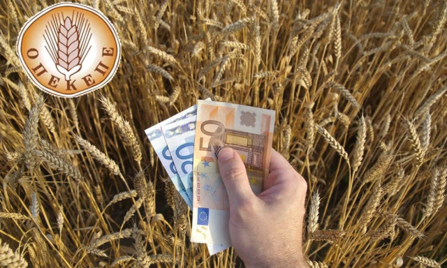 ΟΠΕΚΕΠΕ: Καταβολή 54,3 εκατ. ευρώ σε 42.522 δικαιούχους για De Minimis και ζημιές από τον «Daniel»