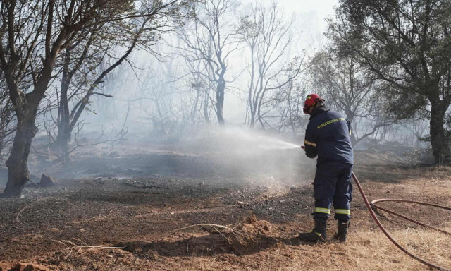 Φωτιά: Ο χάρτης πρόβλεψης κινδύνου πυρκαγιάς για την Παρασκευή 31 Οκτωβρίου