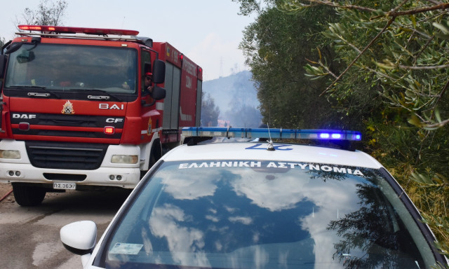 Σητεία: Φωτιά στο Καρύδι - Εστάλη μήνυμα από το 112