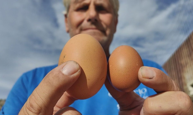 Αυγό γίγας για ρεκόρ Γκίνες στο Ναύπλιο- Ζυγίζει 114 γραμμάρια