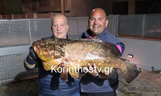 Κόρινθος: Απίστευτη ψαριά - Έβγαλαν ροφό 20 κιλών (video)