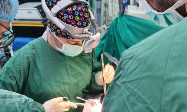 Γυναίκα γιατρός έκανε για πρώτη φορά στην Ελλάδα μεταμόσχευση ήπατος - Ποια είναι η Ελένη Καρακάση