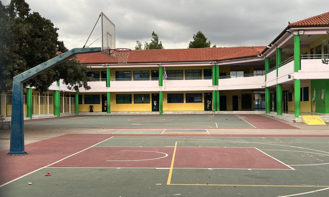 Ασπρόπυργος: «Υπάρχουν πολλές ύπουλες παθήσεις» - Ερωτήματα για τον θάνατο 10χρονης σε σχολείο