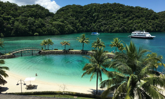 Παλάου: Εξαφανίστηκαν οι αρουραίοι και αναγεννήθηκαν σπάνια πουλιά