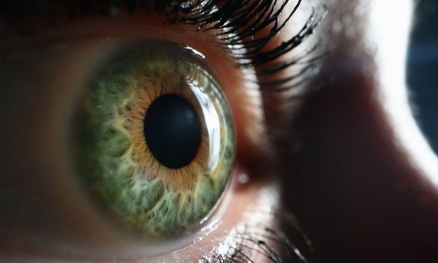 Εκφύλιση ωχράς κηλίδας: Σύγχρονη αντιμετώπιση με νέο ενδοφακό