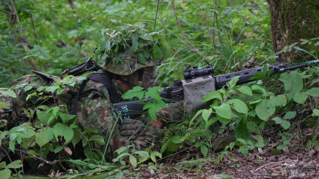 Ιαπωνία: Παίρνει θέση ο στρατός στην μάχη με τις... αρκούδες - Περισσότερες από 100 επιθέσεις