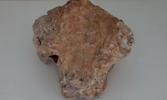 Οι επιστήμονες ανακατασκεύασαν το κρανίο του αρχαίου ιπποπόταμου της Κρήτης