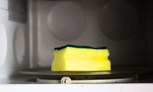 Το απλό κόλπο που απολυμαίνει το σφουγγάρι της κουζίνας σε 1 λεπτό