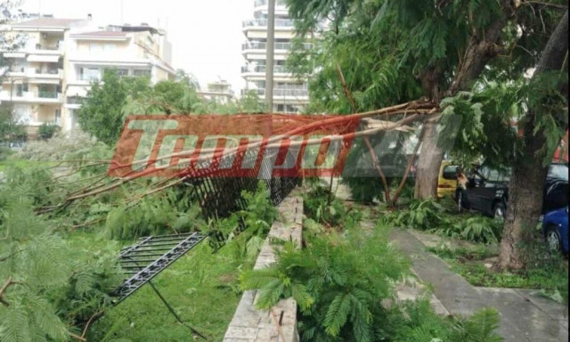 Κακοκαιρία: Ανεμοστρόβιλος σάρωσε την Πάτρα - Ξεριζώθηκαν δέντρα και έσπασαν τζαμαρίες