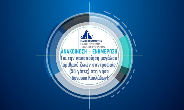 Πώς συνελήφθη ο δράστης και διασώθηκαν οι 58 κακοποιημένες γάτες στη Δονούσα