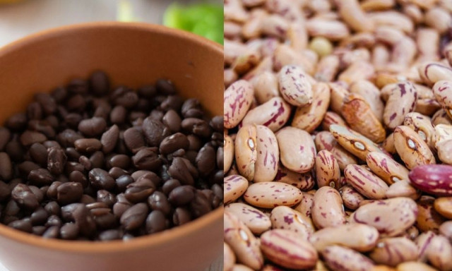 Φασόλια: Ποιο είδος είναι πιο ωφέλιμο για το έντερο και την καρδιά;