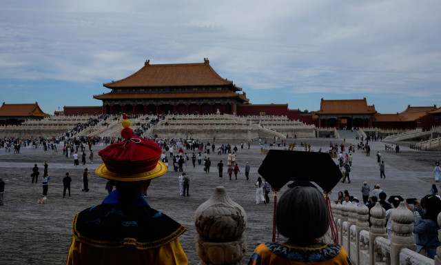 Αρχαίο συστατικό της κινεζικής ιατρικής αποκατέστησε τον μεταβολισμό λίπους σε διαβητικά ποντίκια