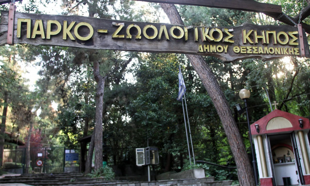 Θεσσαλονίκη: Λουκέτο μέχρι νεωτέρας στον Ζωολογικό Κήπο -  Εντοπίστηκε βρουκέλλωση σε κριό