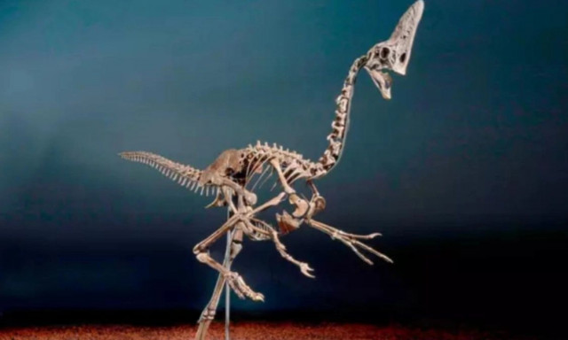 «Πωλείται όπως είναι... σκελετωμένο»: Ένας από τους τελευταίους Δεινόσαυρους βγαίνει στο σφυρί