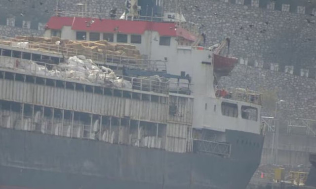 Τουρκία: Σχεδόν 3.000 αγελάδες εγκλωβισμένες σε πλοίο εδώ και 3 εβδομάδες, χωρίς νερό και τροφή