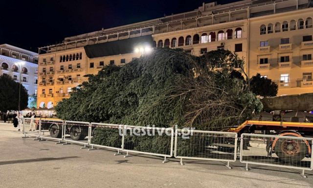 Θεσσαλονίκη: Έφτασε στην πλατεία Αριστοτέλους το χριστουγεννιάτικο έλατο ύψους 18 μέτρων - Βίντεο
