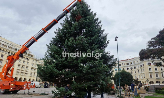 Σε ρυθμούς Χριστουγέννων η Θεσσαλονίκη: Στήνεται το χριστουγεννιάτικο δέντρο στην Αριστοτέλους