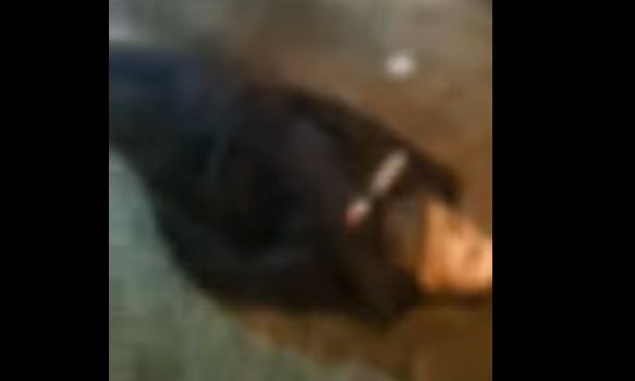 Θεσσαλονίκη: Οι διαρρήκτες που πήδηξαν από μπαλκόνι σφαδάζουν από τον πόνο – Βίντεο ντοκουμέντο