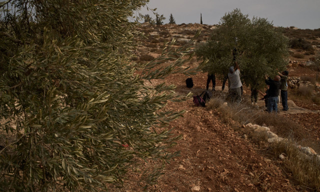 Δυτική Όχθη: Ισραηλινή ΜΚΟ καταγγέλλει την κατάσχεση εδαφών κοντά σε αρχαιολογικό χώρο