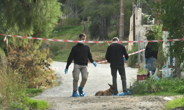 Σαλαμίνα: Το ηχητικό ντοκουμέντο από τη στιγμή της δολοφονίας - «Δεν έχεις μάνα;»