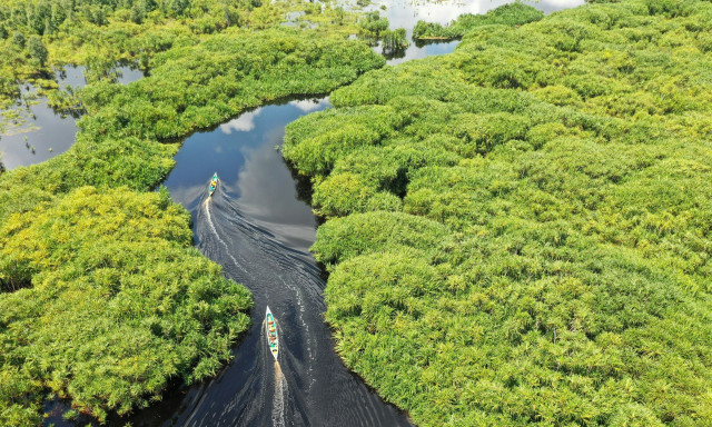 Ιστορική απόφαση της Κολομβίας: Διασώζει το 42% του εδάφους της στον Αμαζόνιο από εξόρυξη πετρελαίου