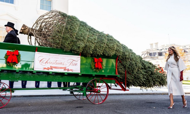 Μελάνια Τραμπ: Παρέλαβε το χριστουγεννιάτικο δέντρο του Λευκού Οίκου