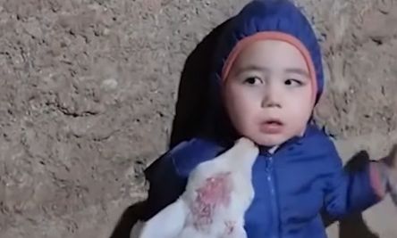 Μωρό «εγκλωβίστηκε» ανάμεσα σε μικρά αρνιά και τοίχο και έγινε viral - Δείτε το βίντεο