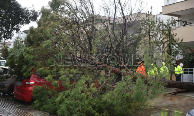 Κακοκαιρία «Adel»: Δέντρο έπεσε πάνω σε αυτοκίνητα στο Μαρούσι - Φωτογραφίες, βίντεο