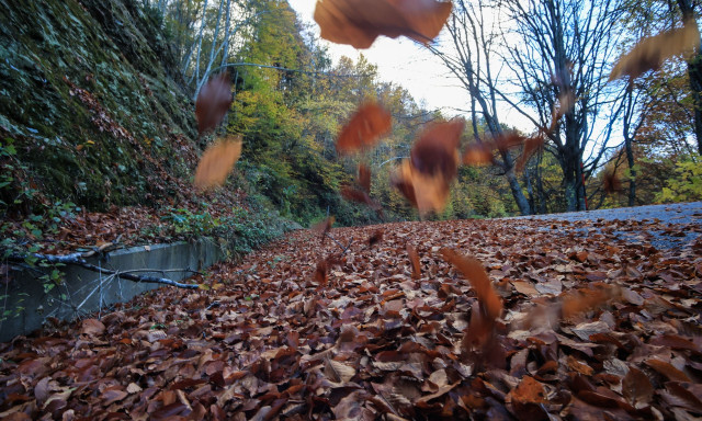 Κλιματική αλλαγή: Αλλάζει ο τουρισμός στην Ελλάδα - Υποχωρούν οι παραλίες, κερδίζει η ενδοχώρα