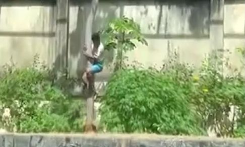 Βραζιλία: Τον έφαγε ζωντανό μπροστά στα μάτια των επισκεπτών - 19χρονος μπήκε σε κλουβί με λιοντάρι