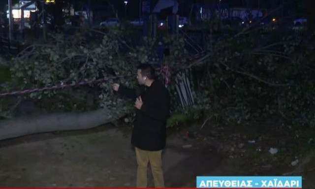 Χαϊδάρι: Ξεριζώθηκε δέντρο κι έπεσε μέσα σε παιδική χαρά