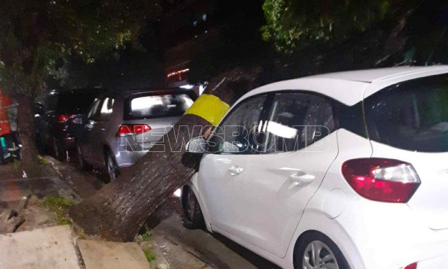 Κακοκαιρία Byron: Φωτογραφίες από το σημείο που το δέντρο έπεσε πάνω σε αυτοκίνητα στο Παλαιό Φάληρο