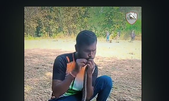 Ασυνήθιστη διάσωση: Έδωσε το «φιλί της ζωής» στο φίδι που υπέστη ηλεκτροπληξία - Viral βίντεο