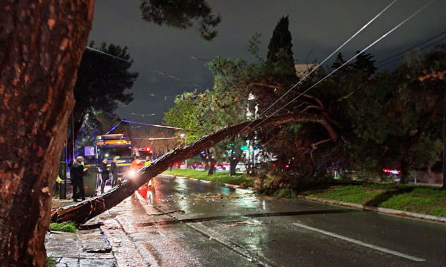 Κακοκαιρία Byron: Πτώση δέντρου στην Παπανικολή στο Χαλάνδρι - Κλειστός για ώρες ο δρόμος