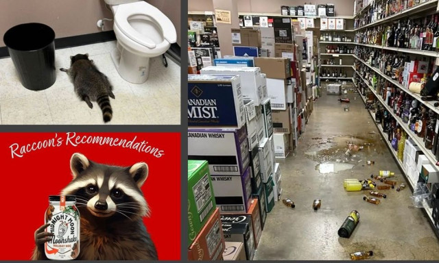 Πηγή έμπνευσης το μεθυσμένο ρακούν στο πάτωμα της τουαλέτας - Νέα κοκτέιλ για χάρη του