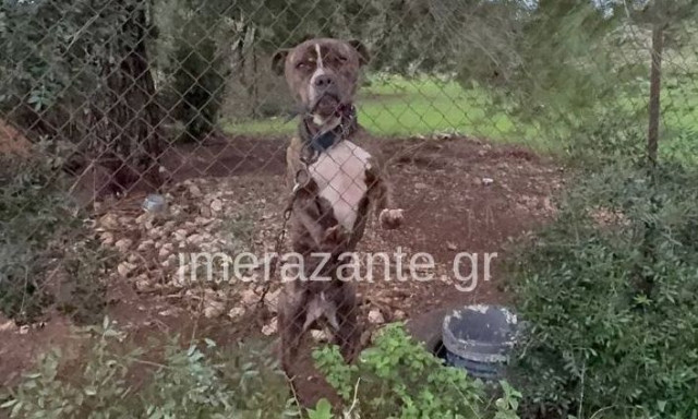 Ζάκυνθος: «Ήταν ό,τι πολυτιμότερο είχα στη ζωή μου», λέει ο πατέρας του 2χρονου