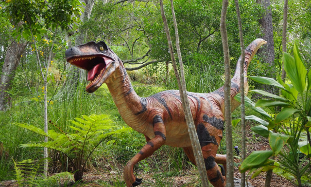 Επιστήμονες κατάφεραν να «διαβάσουν» διατηρημένα έμβρυα δεινοσαύρων μέσα σε αυγά 200 εκατ. ετών