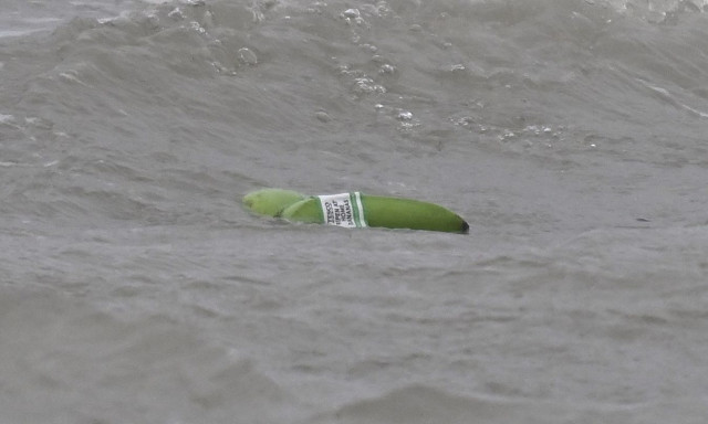 Αγγλία: Χιλιάδες μπανάνες ξεβράστηκαν στις ακτές αφού ανετράπη φορτηγό πλοίο - Δείτε βίντεο