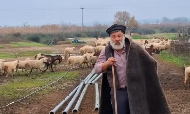 Συγκλονίζει ο Κώστας Θεοφίλου: «Τα πρόβατά μου γιατρεύτηκαν - Τζάμπα θα μου τα σκοτώσουν»