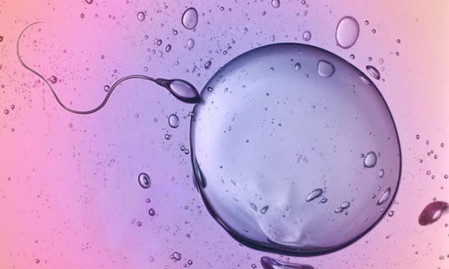 Μόσχα: Γυναίκα γέννησε τρίδυμα κορίτσια από δύο διαφορετικά ωάρια!