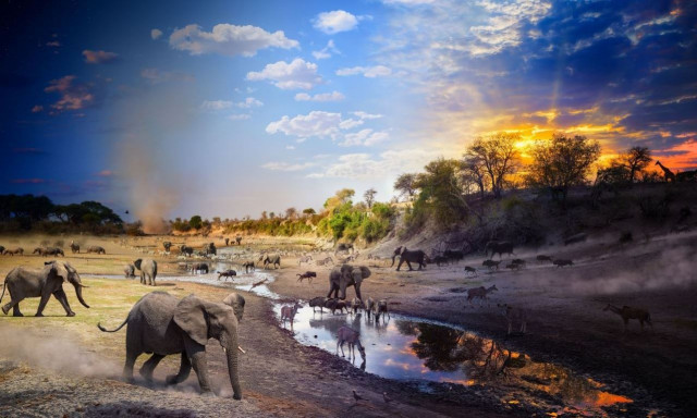 Το National Geographic αποκάλυψε τις φωτογραφίες της xρονιάς - Δείτε 7 από τις πιο εντυπωσιακές