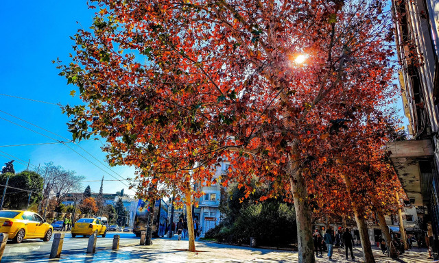 Καιρός: Θερμότερος από το κανονικό ο Ιανουάριος 2026 - Τι δείχνουν τα στοιχεία του Meteo