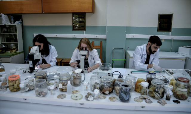 ΥΠΑΑΤ: 26 εκατ. ευρώ για το πρόγραμμα μεταποίησης προϊόντων αλιείας και υδατοκαλλιέργειας