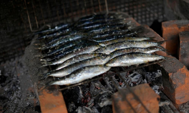 H περίεργη δίαιτα της σαρδέλας - Το διατροφικό πείραμα ενός Αμερικανού ερευνητή