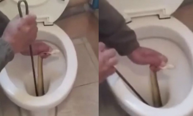 Απίστευτο σκηνικό στην Καστοριά: Ένοικοι βρήκαν φίδι στη λεκάνη της τουαλέτας του σπιτιού τους