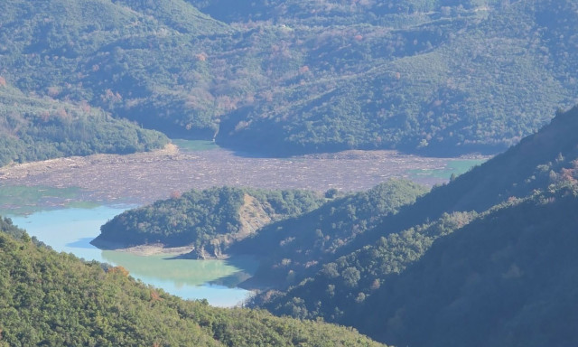 Άρτα: Χιλιάδες κορμοί δέντρων κάλυψαν την λίμνη Πουρναρίου μετά τις ισχυρές βροχοπτώσεις